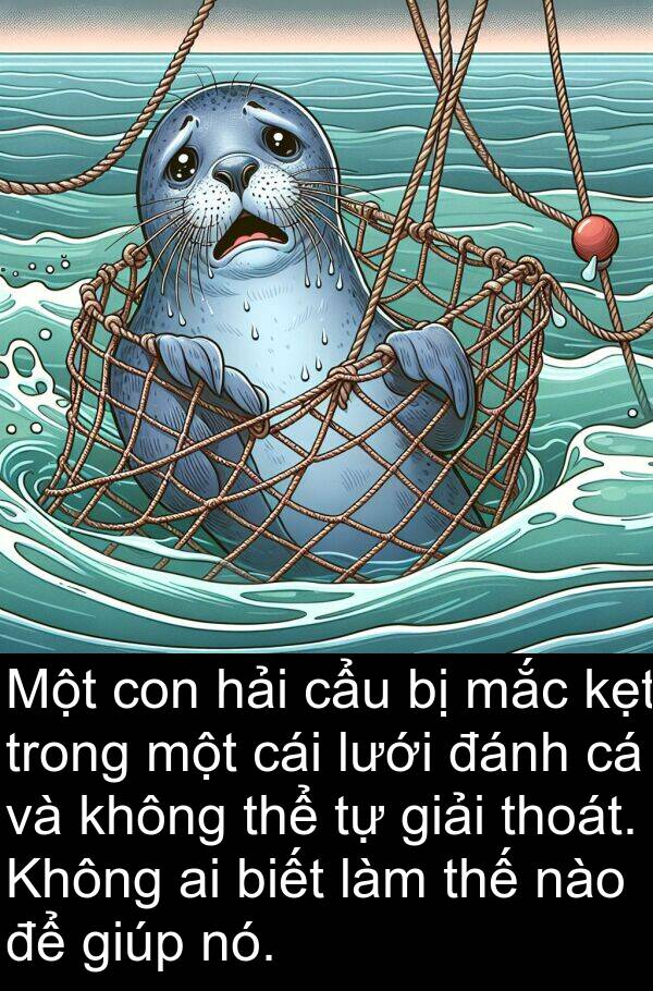 cẩu: Một con hải cẩu bị mắc kẹt trong một cái lưới đánh cá và không thể tự giải thoát. Không ai biết làm thế nào để giúp nó.