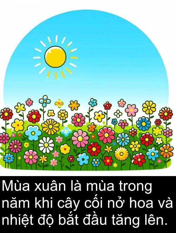 xuân: Mùa xuân là mùa trong năm khi cây cối nở hoa và nhiệt độ bắt đầu tăng lên.