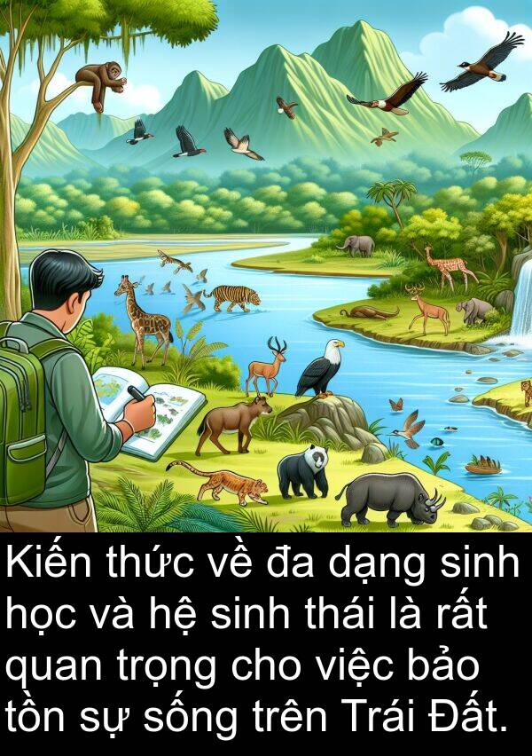 thái: Kiến thức về đa dạng sinh học và hệ sinh thái là rất quan trọng cho việc bảo tồn sự sống trên Trái Đất.