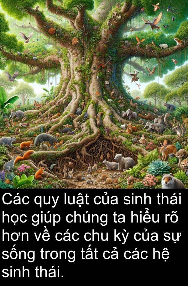 chu: Các quy luật của sinh thái học giúp chúng ta hiểu rõ hơn về các chu kỳ của sự sống trong tất cả các hệ sinh thái.