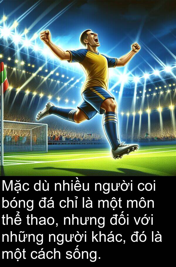 thao: Mặc dù nhiều người coi bóng đá chỉ là một môn thể thao, nhưng đối với những người khác, đó là một cách sống.