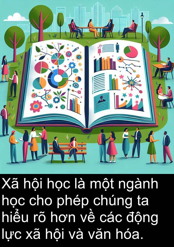 ngành: Xã hội học là một ngành học cho phép chúng ta hiểu rõ hơn về các động lực xã hội và văn hóa.