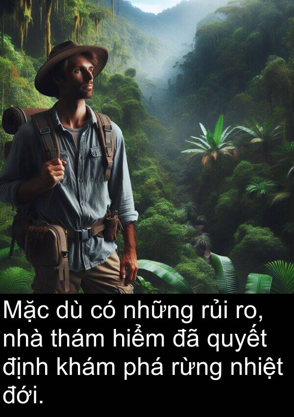 thám: Mặc dù có những rủi ro, nhà thám hiểm đã quyết định khám phá rừng nhiệt đới.