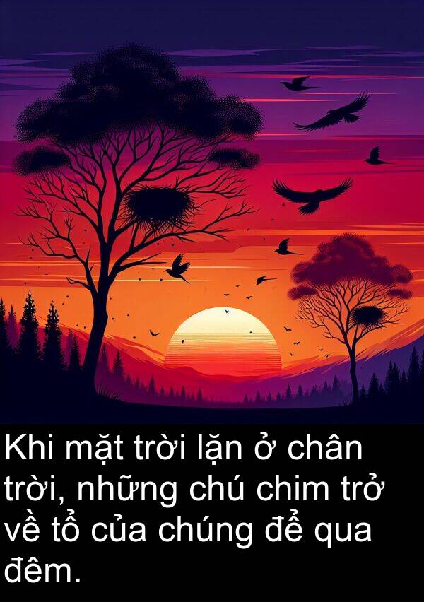 lặn: Khi mặt trời lặn ở chân trời, những chú chim trở về tổ của chúng để qua đêm.