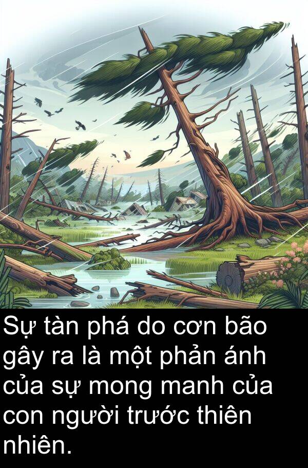 cơn: Sự tàn phá do cơn bão gây ra là một phản ánh của sự mong manh của con người trước thiên nhiên.