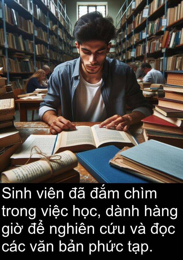 chìm: Sinh viên đã đắm chìm trong việc học, dành hàng giờ để nghiên cứu và đọc các văn bản phức tạp.