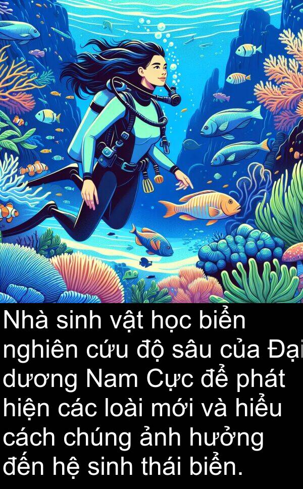 hưởng: Nhà sinh vật học biển nghiên cứu độ sâu của Đại dương Nam Cực để phát hiện các loài mới và hiểu cách chúng ảnh hưởng đến hệ sinh thái biển.