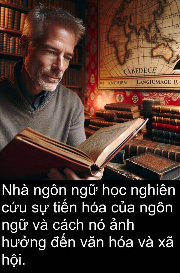 ngữ: Nhà ngôn ngữ học nghiên cứu sự tiến hóa của ngôn ngữ và cách nó ảnh hưởng đến văn hóa và xã hội.