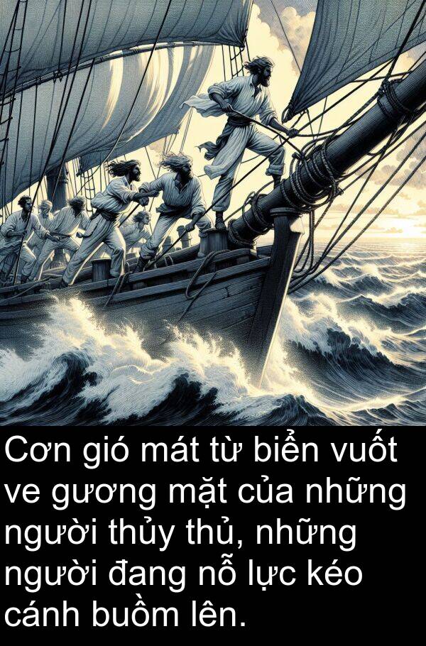 mát: Cơn gió mát từ biển vuốt ve gương mặt của những người thủy thủ, những người đang nỗ lực kéo cánh buồm lên.