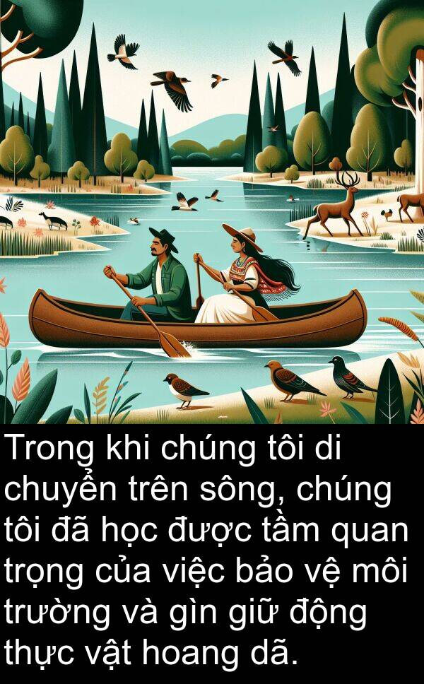 sông: Trong khi chúng tôi di chuyển trên sông, chúng tôi đã học được tầm quan trọng của việc bảo vệ môi trường và gìn giữ động thực vật hoang dã.