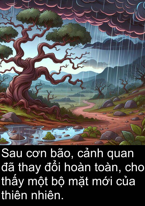 cơn: Sau cơn bão, cảnh quan đã thay đổi hoàn toàn, cho thấy một bộ mặt mới của thiên nhiên.