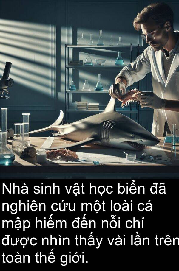 lần: Nhà sinh vật học biển đã nghiên cứu một loài cá mập hiếm đến nỗi chỉ được nhìn thấy vài lần trên toàn thế giới.