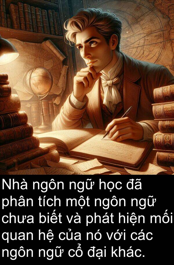 mối: Nhà ngôn ngữ học đã phân tích một ngôn ngữ chưa biết và phát hiện mối quan hệ của nó với các ngôn ngữ cổ đại khác.