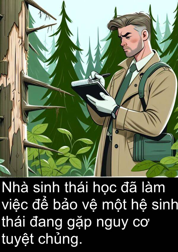 nguy: Nhà sinh thái học đã làm việc để bảo vệ một hệ sinh thái đang gặp nguy cơ tuyệt chủng.