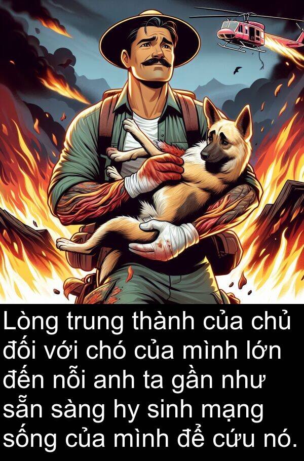 sàng: Lòng trung thành của chủ đối với chó của mình lớn đến nỗi anh ta gần như sẵn sàng hy sinh mạng sống của mình để cứu nó.