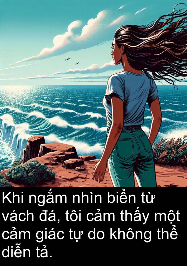 diễn: Khi ngắm nhìn biển từ vách đá, tôi cảm thấy một cảm giác tự do không thể diễn tả.