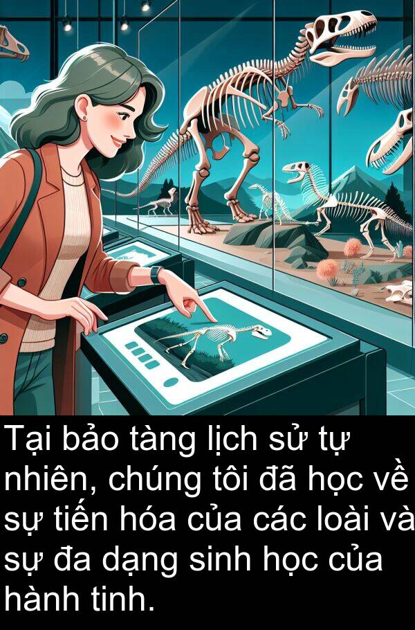 tàng: Tại bảo tàng lịch sử tự nhiên, chúng tôi đã học về sự tiến hóa của các loài và sự đa dạng sinh học của hành tinh.