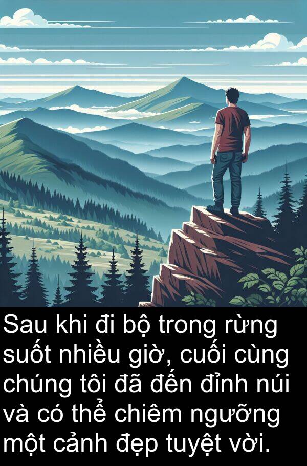 chiêm: Sau khi đi bộ trong rừng suốt nhiều giờ, cuối cùng chúng tôi đã đến đỉnh núi và có thể chiêm ngưỡng một cảnh đẹp tuyệt vời.