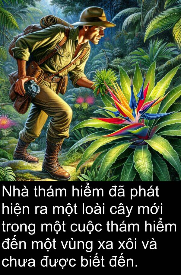 thám: Nhà thám hiểm đã phát hiện ra một loài cây mới trong một cuộc thám hiểm đến một vùng xa xôi và chưa được biết đến.