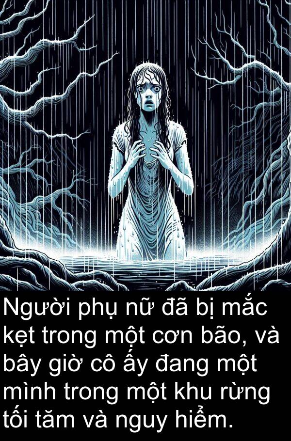 cơn: Người phụ nữ đã bị mắc kẹt trong một cơn bão, và bây giờ cô ấy đang một mình trong một khu rừng tối tăm và nguy hiểm.