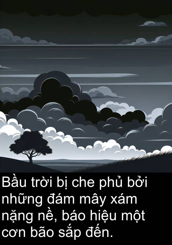 cơn: Bầu trời bị che phủ bởi những đám mây xám nặng nề, báo hiệu một cơn bão sắp đến.