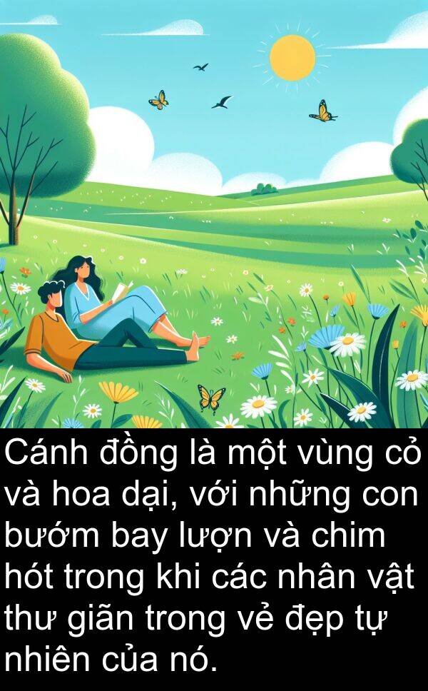 lượn: Cánh đồng là một vùng cỏ và hoa dại, với những con bướm bay lượn và chim hót trong khi các nhân vật thư giãn trong vẻ đẹp tự nhiên của nó.