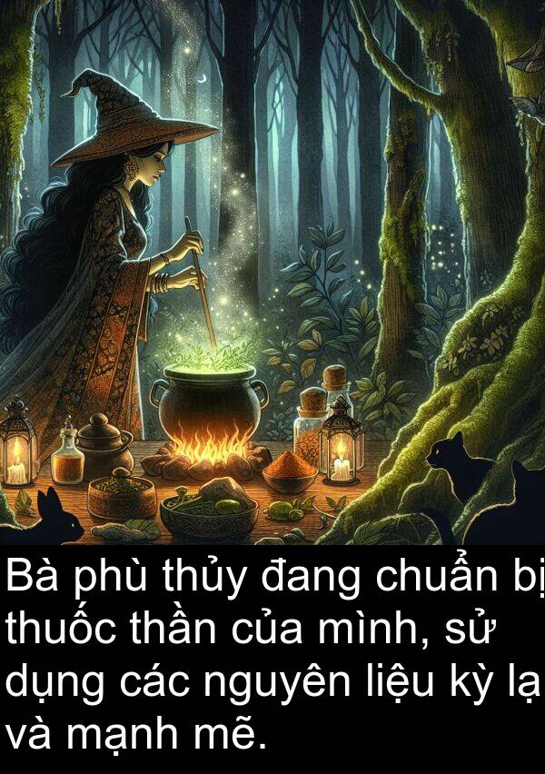 liệu: Bà phù thủy đang chuẩn bị thuốc thần của mình, sử dụng các nguyên liệu kỳ lạ và mạnh mẽ.