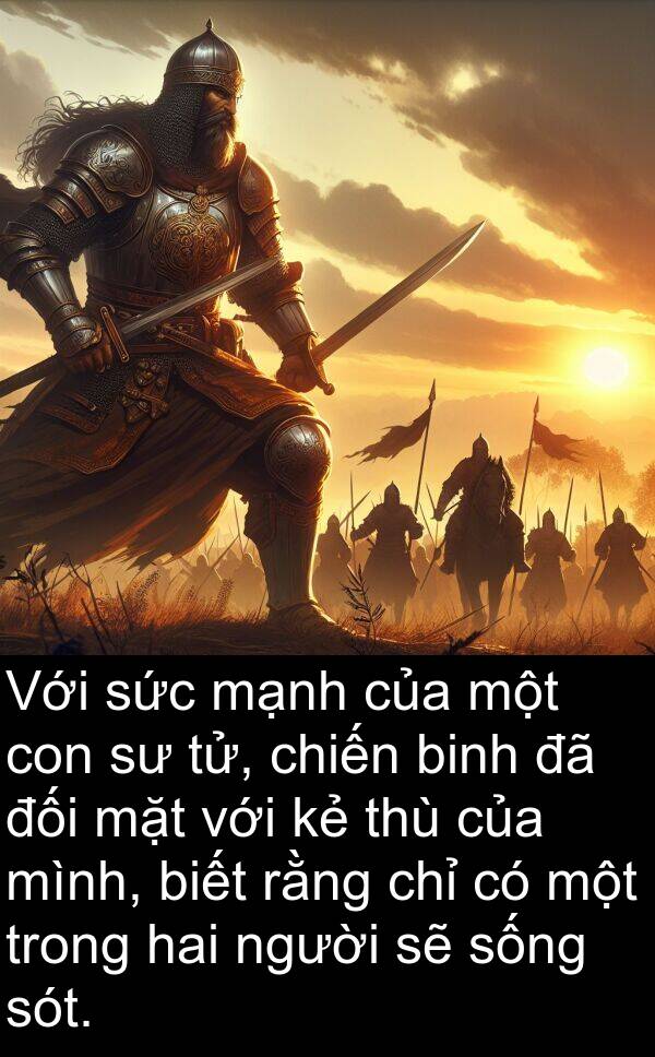 thù: Với sức mạnh của một con sư tử, chiến binh đã đối mặt với kẻ thù của mình, biết rằng chỉ có một trong hai người sẽ sống sót.