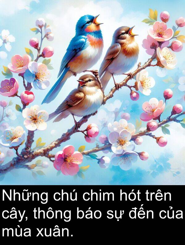 xuân: Những chú chim hót trên cây, thông báo sự đến của mùa xuân.