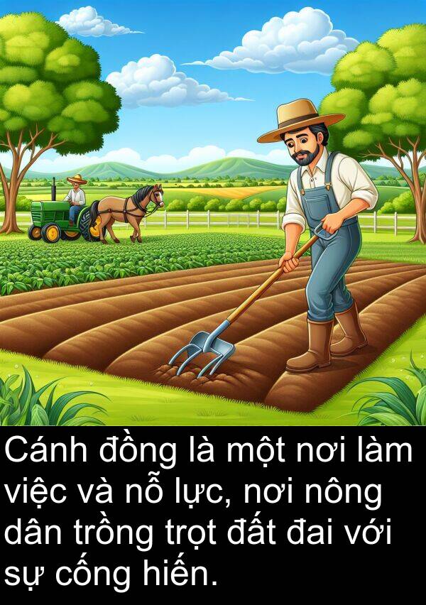 trồng: Cánh đồng là một nơi làm việc và nỗ lực, nơi nông dân trồng trọt đất đai với sự cống hiến.