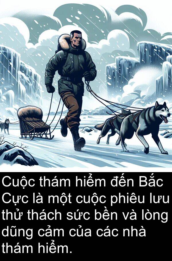 thám: Cuộc thám hiểm đến Bắc Cực là một cuộc phiêu lưu thử thách sức bền và lòng dũng cảm của các nhà thám hiểm.