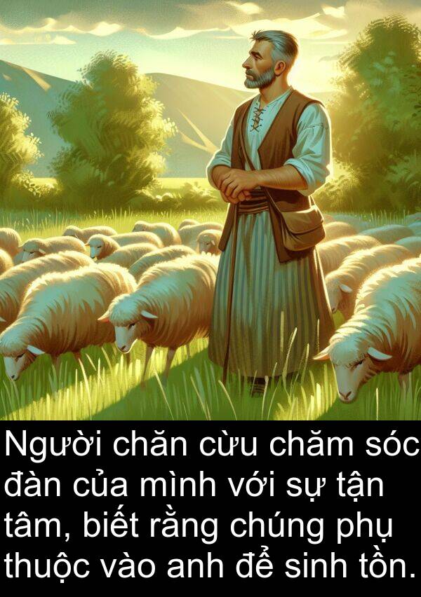 thuộc: Người chăn cừu chăm sóc đàn của mình với sự tận tâm, biết rằng chúng phụ thuộc vào anh để sinh tồn.