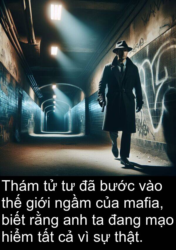 ngầm: Thám tử tư đã bước vào thế giới ngầm của mafia, biết rằng anh ta đang mạo hiểm tất cả vì sự thật.