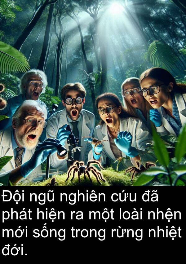 nhiệt: Đội ngũ nghiên cứu đã phát hiện ra một loài nhện mới sống trong rừng nhiệt đới.