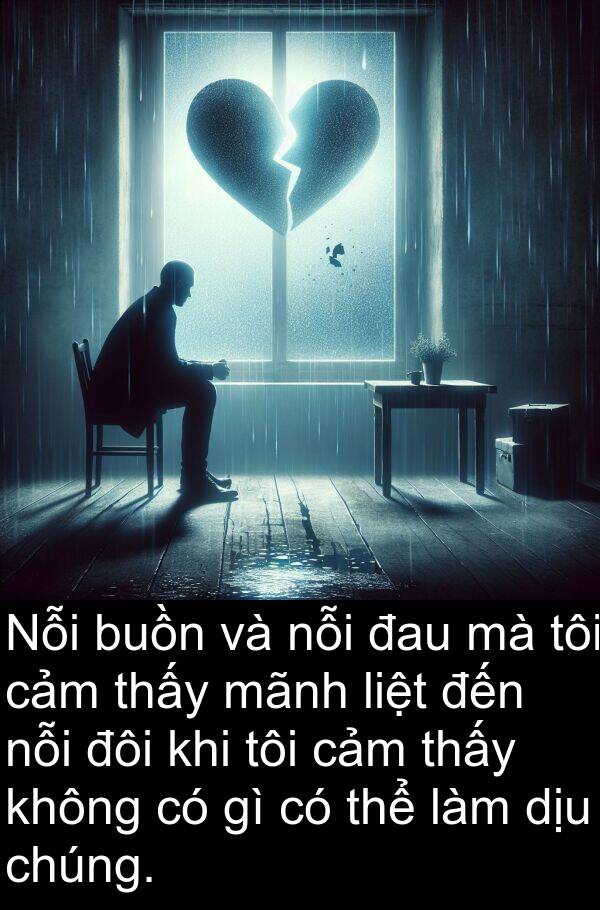 mãnh: Nỗi buồn và nỗi đau mà tôi cảm thấy mãnh liệt đến nỗi đôi khi tôi cảm thấy không có gì có thể làm dịu chúng.