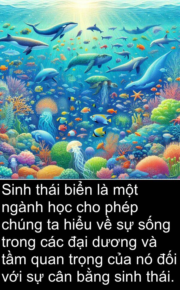 ngành: Sinh thái biển là một ngành học cho phép chúng ta hiểu về sự sống trong các đại dương và tầm quan trọng của nó đối với sự cân bằng sinh thái.