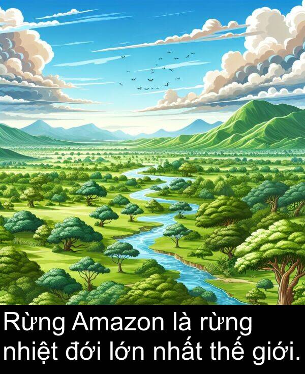 nhất: Rừng Amazon là rừng nhiệt đới lớn nhất thế giới.