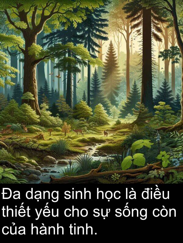 yếu: Đa dạng sinh học là điều thiết yếu cho sự sống còn của hành tinh.