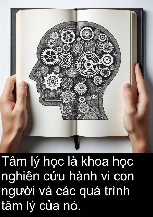 nghiên: Tâm lý học là khoa học nghiên cứu hành vi con người và các quá trình tâm lý của nó.