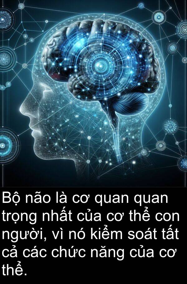 chức: Bộ não là cơ quan quan trọng nhất của cơ thể con người, vì nó kiểm soát tất cả các chức năng của cơ thể.