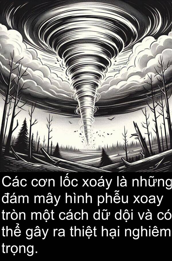 cơn: Các cơn lốc xoáy là những đám mây hình phễu xoay tròn một cách dữ dội và có thể gây ra thiệt hại nghiêm trọng.