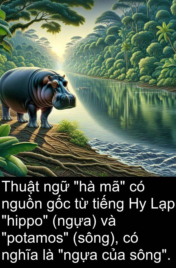 sông: Thuật ngữ "hà mã" có nguồn gốc từ tiếng Hy Lạp "hippo" (ngựa) và "potamos" (sông), có nghĩa là "ngựa của sông".