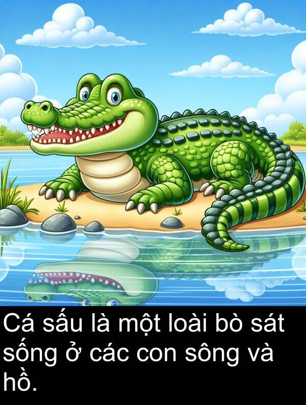 sông: Cá sấu là một loài bò sát sống ở các con sông và hồ.