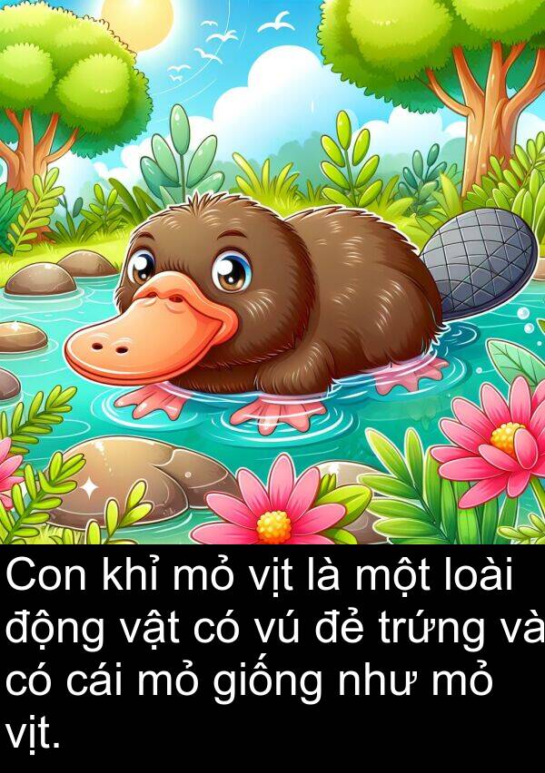 trứng: Con khỉ mỏ vịt là một loài động vật có vú đẻ trứng và có cái mỏ giống như mỏ vịt.