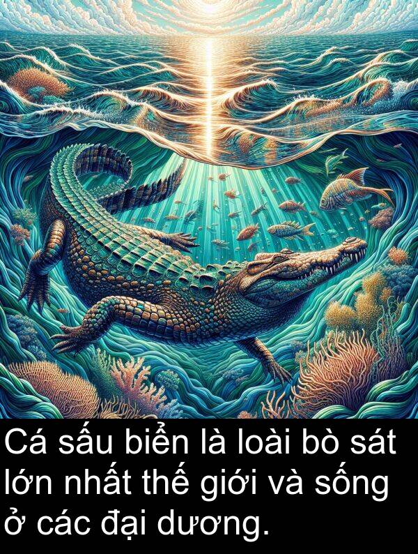 thế: Cá sấu biển là loài bò sát lớn nhất thế giới và sống ở các đại dương.