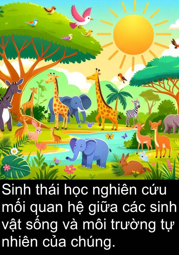 mối: Sinh thái học nghiên cứu mối quan hệ giữa các sinh vật sống và môi trường tự nhiên của chúng.