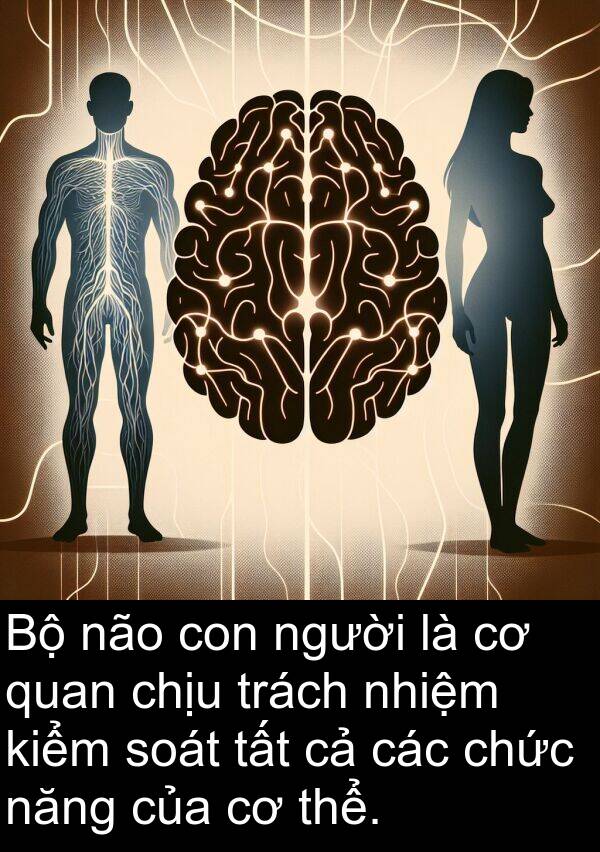 chức: Bộ não con người là cơ quan chịu trách nhiệm kiểm soát tất cả các chức năng của cơ thể.