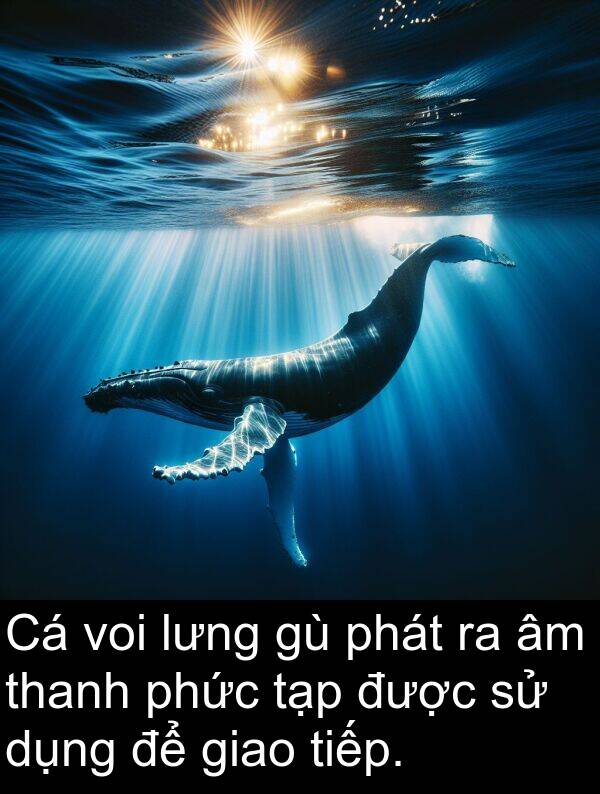 phát: Cá voi lưng gù phát ra âm thanh phức tạp được sử dụng để giao tiếp.