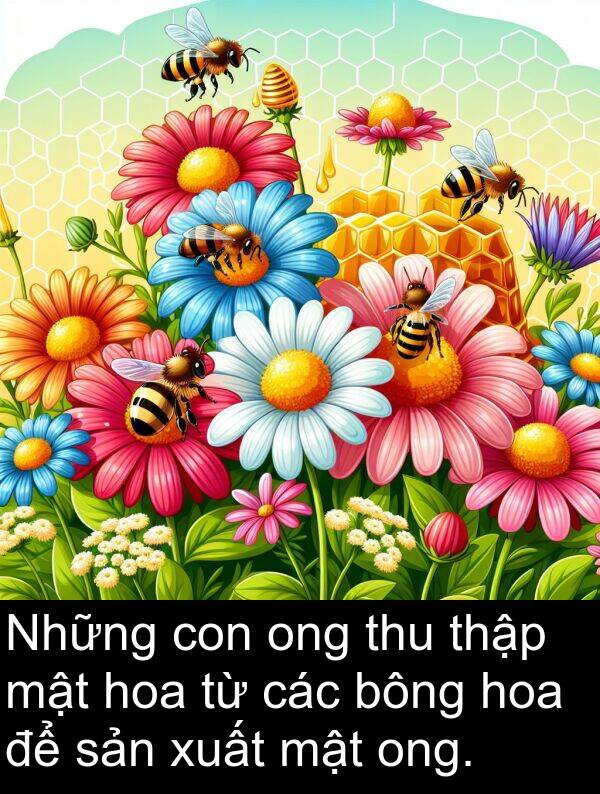 thập: Những con ong thu thập mật hoa từ các bông hoa để sản xuất mật ong.