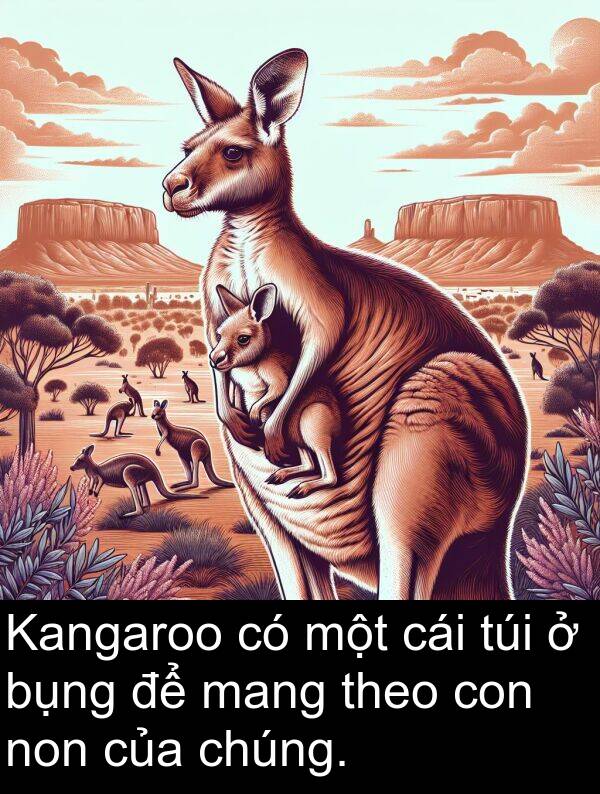 mang: Kangaroo có một cái túi ở bụng để mang theo con non của chúng.